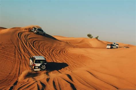 desert safari adventure  dubai veena world