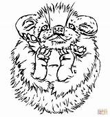 Porcupine Baby Coloring Cute Pages Drawing Printable Line Color Supercoloring Porcupines Version Click Designlooter Paintingvalley Categories sketch template