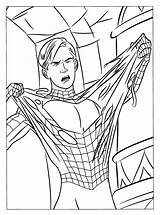Coloring Pages Spider Man Spiderman Template sketch template