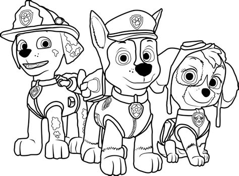 paw patrol coloring book bundle kids coloring pages etsy