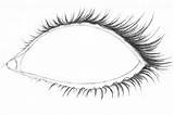 Eyelashes Draw Eye Step Highlight Pupil Iris Outline Left Source Light sketch template
