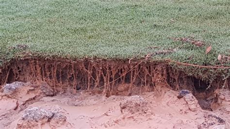 customers avoid soil erosion  runoff mirimichi green
