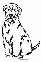 Terrier Wheaten Dog Wheaton Daycare sketch template