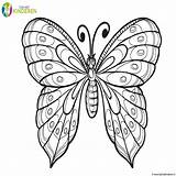 Kleurplaat Vlinders Vlinder Kleurplaten Hartjes Volwassen Uitprinten Omnilabo Makkelijk Downloaden sketch template