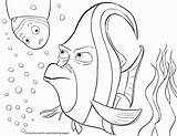 Nemo Finding Gill Findet Squirt Dorie Ausmalen Jessie Coloringhome 4kids sketch template