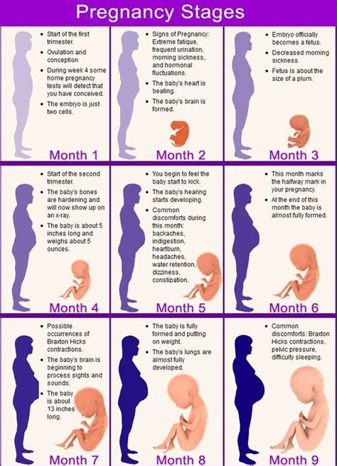 pregnancy is contagious according to science pregnant pinterest