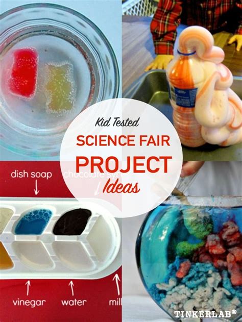 science project ideas places  children