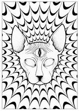 Coloring Psychedelic Pages Adults Sphinx Third Eye Background sketch template