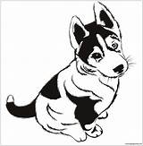 Husky Chien Puppies Cute Colorier Siberian Coloriages Coloringpagesonly sketch template