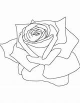 Coloring Petals Rose Pages Flower Bestcoloringpages Kids Choose Board sketch template