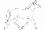 Colorat Cavalli Caballo Pferd Cavallo Caluti Cai Colorare Disegni Horse Konji Imagini Chevaux Cheval Konja Bojanke Crtež Desene Fise Crtezi sketch template