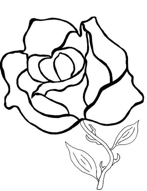 coloring pages  roses color info