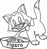 Figaro sketch template