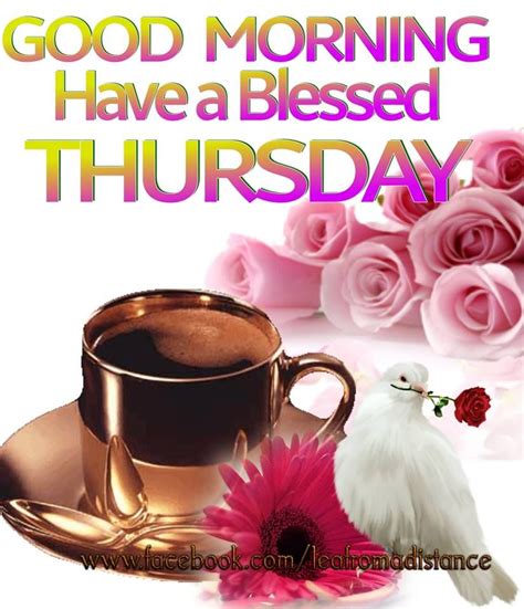 good morning   blessed thursday pictures   images