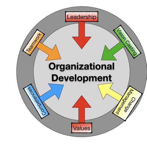 organizational development  newton group