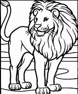 Leones Animais Selvagens Lion Selva Clipartmag sketch template