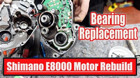 shimano  motor overhaul  bearing replacement youtube