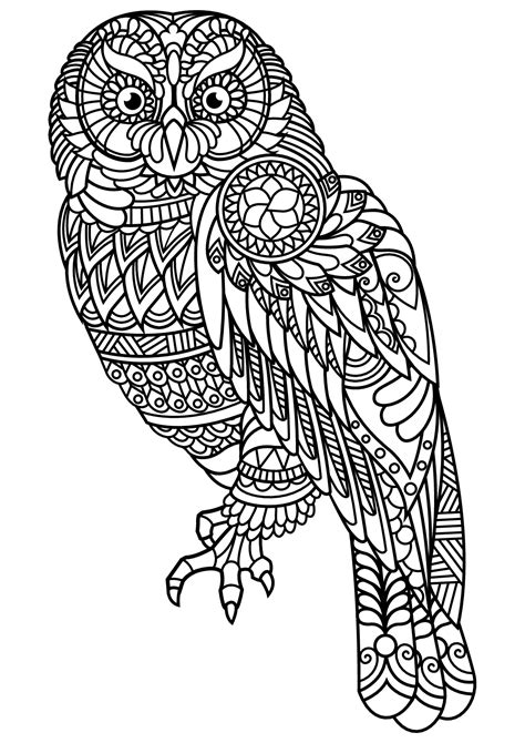 owl  beautiful patterns owls adult coloring pages
