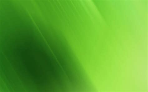 green background wallpapers  hd wallpapers