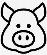 Pig Drawing Nose Paintingvalley sketch template