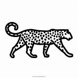 Leopardo Stampare Ultracoloringpages sketch template