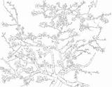 Almond Gogh Blossom sketch template