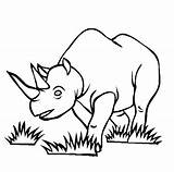 Endangered Rhino Coloring Animals Rhinoceros Pages Kids Clipart Printable Species Baby Color Draw Online Easy Getcolorings Print Cliparts Getdrawings Gif sketch template