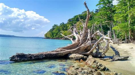 top     andaman  nicobar islands  travel story