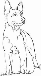 Coloring Pages Dog German Shepherd Dogs Drawings Outline Drawing Line Shepherds Face Sketch Printable Template K9 Colouring Pencil Book Tattoo sketch template