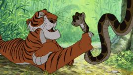 jungle book disney gif find share  giphy