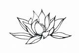 Coloring Lotus Flower Pages Getdrawings Pencil sketch template