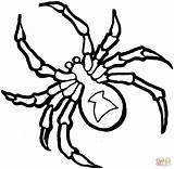 Coloring Spider Pages Printable Kids Popular sketch template
