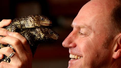 sleepy lizard flu  virus threatens south australias romantic