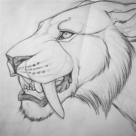 part   sketch dump tonight heres  saber tooth tiger  drew