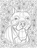 Bull Adults Puppy sketch template