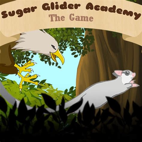 tips informasi sugar glider yogyakarta  drama review sugar glider academy jogja sugar