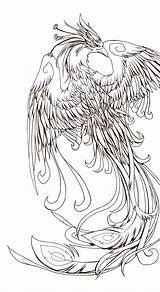 Phoenix Tattoo Fenix Coloring Pages Fenice Designs Ave Japanese Tattoos Drawing Bird Outline Tatuaje Color Fénix Tatouage Grayscale Drawings Tatuajes sketch template