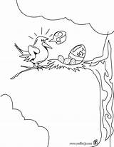 Nido Huevo Oiseau Nid Paques Oeuf Ausmalen Pintado Egg Hatchimal Huevos Hellokids sketch template