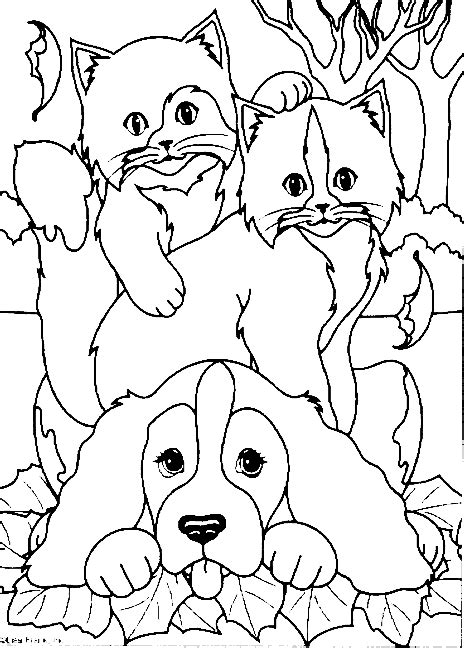 animals coloring page dog cat  kids network