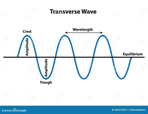 transverse wave properties  wavelength stock vector illustration