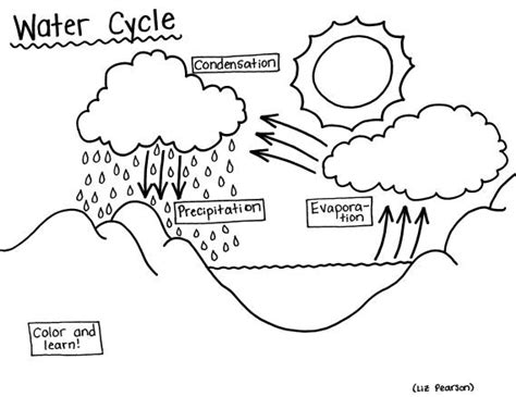 water cycle printable coloring page educational teaching resource