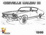 Malibu Chevelle Freecoloringpages Designlooter sketch template