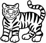 Tiger Coloring Pages Printable Color Getcolorings sketch template