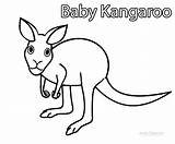 Kangaroo Coloring Baby Rat Printable Cute Cool2bkids Getcolorings Popular sketch template
