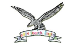 eagle search engine optimization seo eagle  store eagle