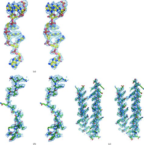 iucr cryo em structure   ebola virus nucleoproteinrna complex