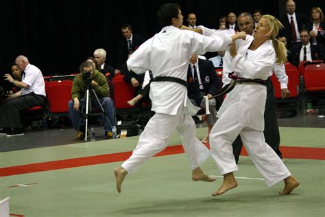 shotokan karate  pain relief rees fitness coaching movement