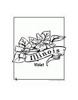 Illinois sketch template