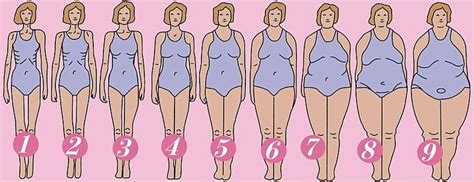 girl weight scale hoomins type chart body chart body types