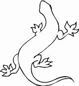 Gecko Coloring Pages Geckos Clipart Printable Tokay Drawings Lizard Crested Popular Super Library Cliparts Coloringhome sketch template